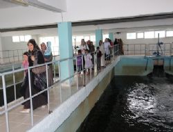 “Kadın gözüyle büyükşehir” projesi sürüyor